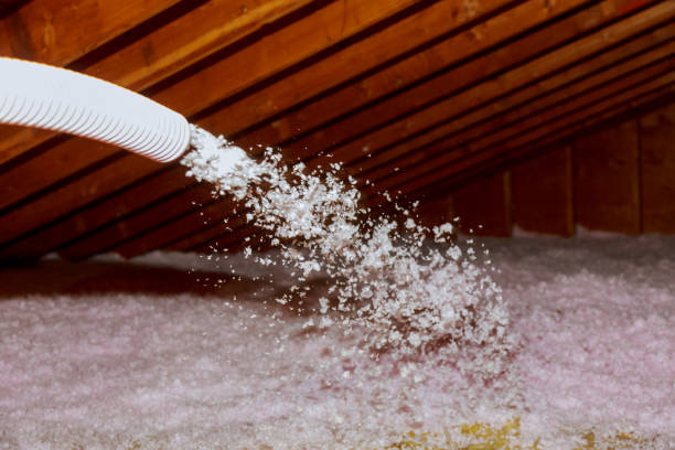 Best Specialized Insulation Services in Clarendon, TX