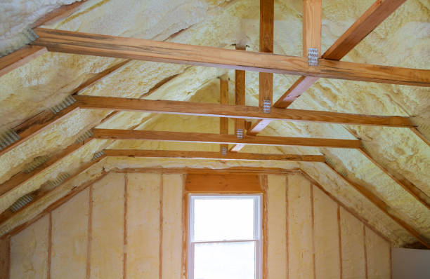 Best Insulation Maintenance and Repair in Clarendon, TX