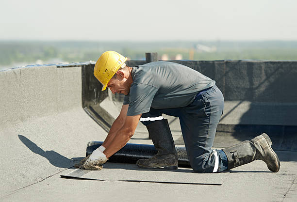 Best Cellulose Insulation in Clarendon, TX