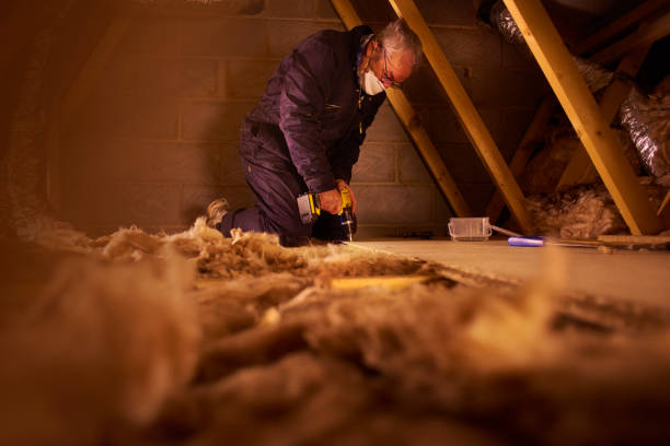 Best DIY Insulation Kits and Guidance in Clarendon, TX